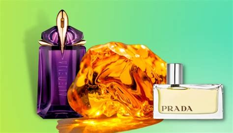 best amber perfumes|best amber perfumes for summer.